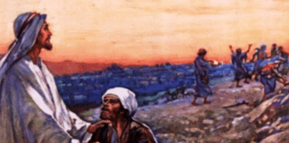 Domingo XXIII TO C Lc 17, 11-19 12/10/25