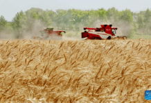 Lunes XXIX TO I 20/10/25