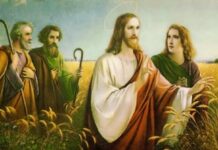 Viernes XXX TO I 31/10/25