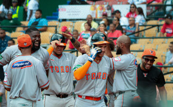 Sánchez y Celestino impulsan victoria de Toros sobre Leones