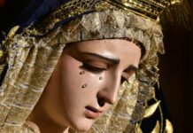 Sábado XXIX TO I 25/10/25