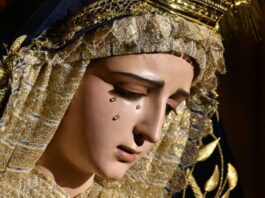 Sábado XXIX TO I 25/10/25