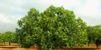 Jueves XXIX TO I 23/10/24