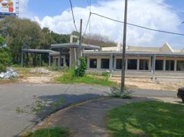 LA RUINA OLVIDADA DE LOS JARDINES DEL NORTE