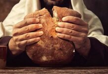 Martes XXVIII TO I 14/10/25