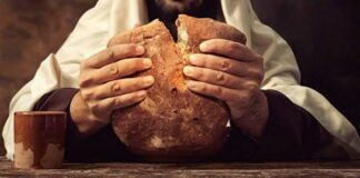 Martes XXVIII TO I 14/10/25