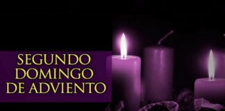 Domingo II Adviento 7/12/25