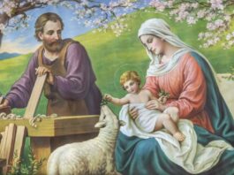 Miércoles XXXIV TO I 26/11/25