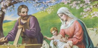 Miércoles XXXIV TO I 26/11/25