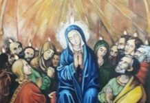 Sábado XXXIV TO I 29/11/25