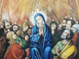 Sábado XXXIV TO I 29/11/25