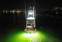 Gunpowder impone nueva marca de liberaciones de marlin azul