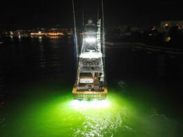 Gunpowder impone nueva marca de liberaciones de marlin azul