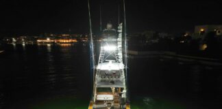 Gunpowder impone nueva marca de liberaciones de marlin azul