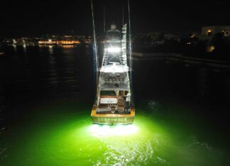 Gunpowder impone nueva marca de liberaciones de marlin azul