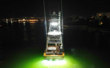 Gunpowder impone nueva marca de liberaciones de marlin azul