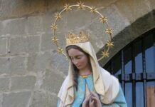 Nuestra Señora de la Divina Providencia 19/11/25