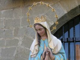 Nuestra Señora de la Divina Providencia 19/11/25