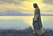 Miércoles XXXII TO I5/11/25