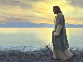 Miércoles XXXII TO I5/11/25