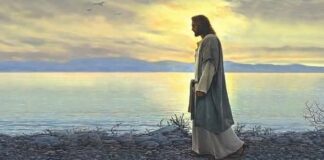 Miércoles XXXII TO I5/11/25