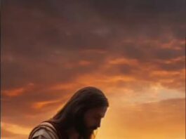 Jueves XXXIII TO I 20/11/25