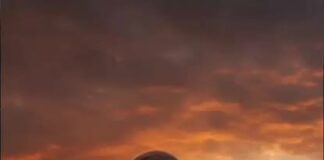 Jueves XXXIII TO I 20/11/25