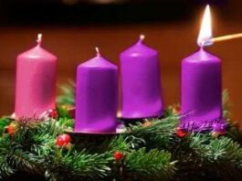 Viernes I Adviento 5/12/25