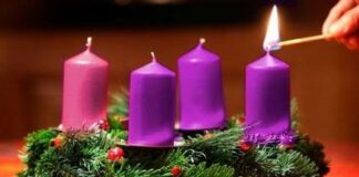 Viernes I Adviento 5/12/25