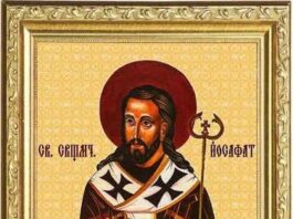 San Josafat, Obispo y Mártir de la Unidad. 12/11/25