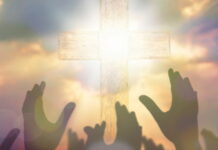 Jueves XXXII TO I 13/11/25