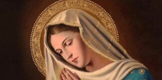 Sabado XXXII TO I 15/11/25