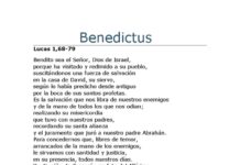 Feria Privilegiada VII. 24/12/25