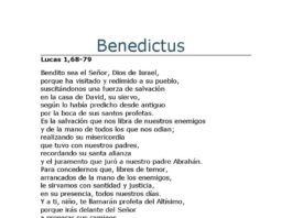 Feria Privilegiada VII. 24/12/25