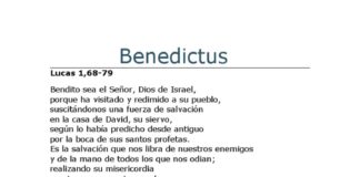 Feria Privilegiada VII. 24/12/25