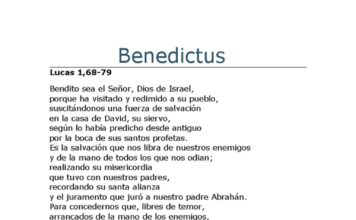 Feria Privilegiada VII. 24/12/25