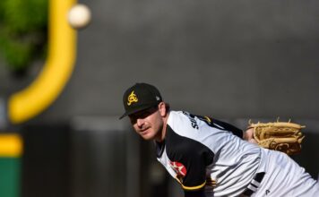 Pitcheo de las Águilas domina y blanquea a los Toros