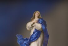 Inmaculada Concepción de María 8/12/25