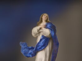 Inmaculada Concepción de María 8/12/25