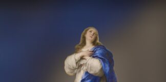 Inmaculada Concepción de María 8/12/25