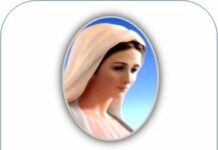 Feria privilegiada V Adviento. 22/12/25