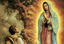 San Juan Diego Cuauhtlatoatzin. 9/12/25