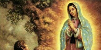 San Juan Diego Cuauhtlatoatzin. 9/12/25