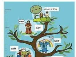 FERIA PRIVILEGIADA I 17/12/25