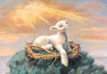 Domingo II TO A 18/1/26