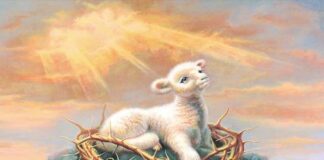 Domingo II TO A 18/1/26