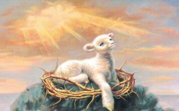 Domingo II TO A 18/1/26