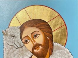 Sábado IV TO II 7/2/26