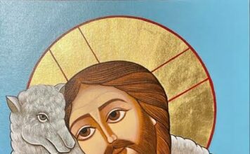 Sábado IV TO II 7/2/26