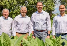 Exportaciones de tabaco incrementan más de RD$1,000 millones en 2025